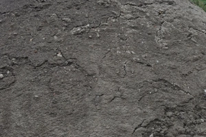 Ziemia na podniesienie terenu 10 zł